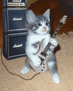 0000138191.gif